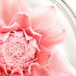 NUXE Gesicht^Nuxuriance Gold Nachtbalsam 50 ml