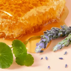 Rêve de Miel reparierende Cica Handcreme 50 ml-NUXE Discount