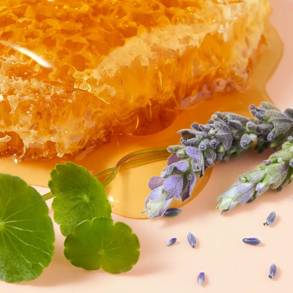 Rêve de Miel reparierende Cica Handcreme 50 ml-NUXE Discount