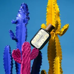 Damen OBVIOUS Damendüfte|Thorns Eau de Parfum 100 ml