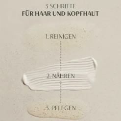 GMS HAIR & SCALP Regime Kit-Percy & Reed New