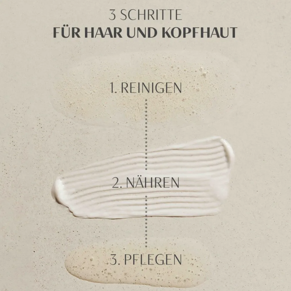 GMS HAIR & SCALP Regime Kit-Percy & Reed New