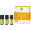 Set Duftendes Zitrusglück 3x5 ml-PRIMAVERA Online
