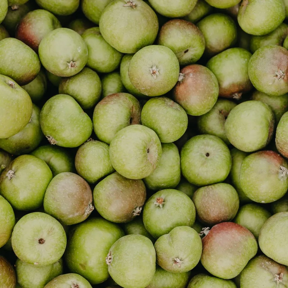 Anti-Pollution-Spray mit Schweizer Apfel Spray 100 ml-Rausch Best