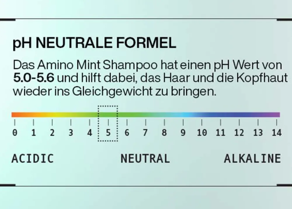 Amino Mint Shampoo 300 ml-Redken