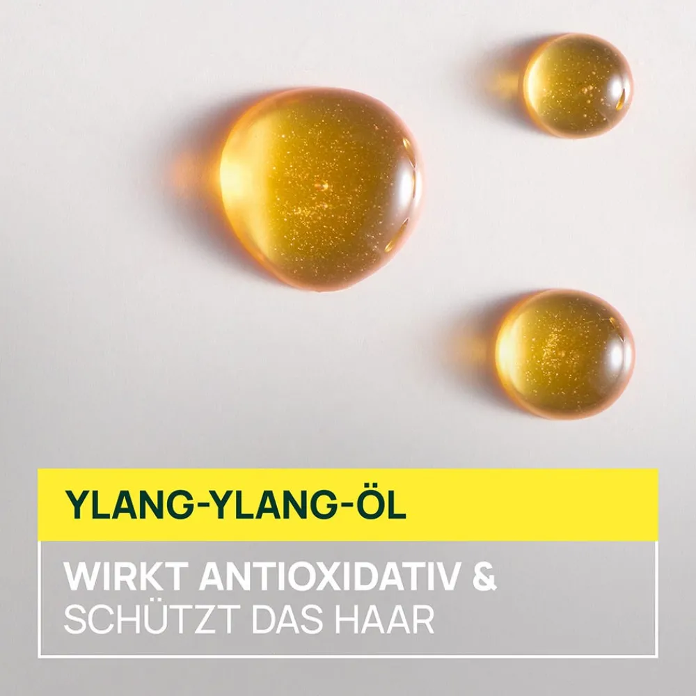 Rene Furterer Reisegrößen| Haarkur^René Furterer Sublime Karité Nährende glättende Haarmaske 100 ml