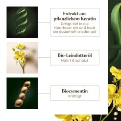 Rene Furterer Reparatur & Stärkung|Hagel Nature|Absolue Kératine Shampoo 200 ml