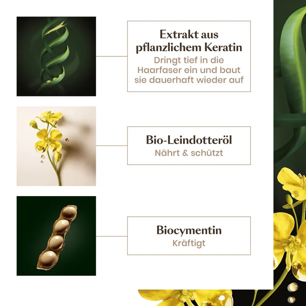 Rene Furterer Reparatur & Stärkung|Hagel Nature|Absolue Kératine Shampoo 200 ml