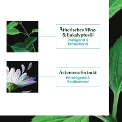 Rene Furterer Hagel Nature|Astera Fresh Beruhigend-frisches Serum 75 ml