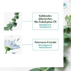 Astera Head Spa Beruhigendes Konzentrat 50 ml-Rene Furterer Outlet