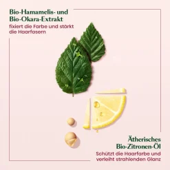 Color Glow Farbschutz Shampoo 500 ml-Rene Furterer New