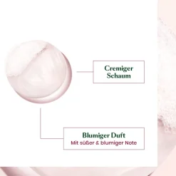 Color Glow Farbschutz Shampoo 500 ml-Rene Furterer New