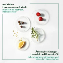 Rene Furterer Reparatur & Stärkung|Haarverdichtung^Forticea Vitalisierendes Haar-Tonikum-Energie 100 ml