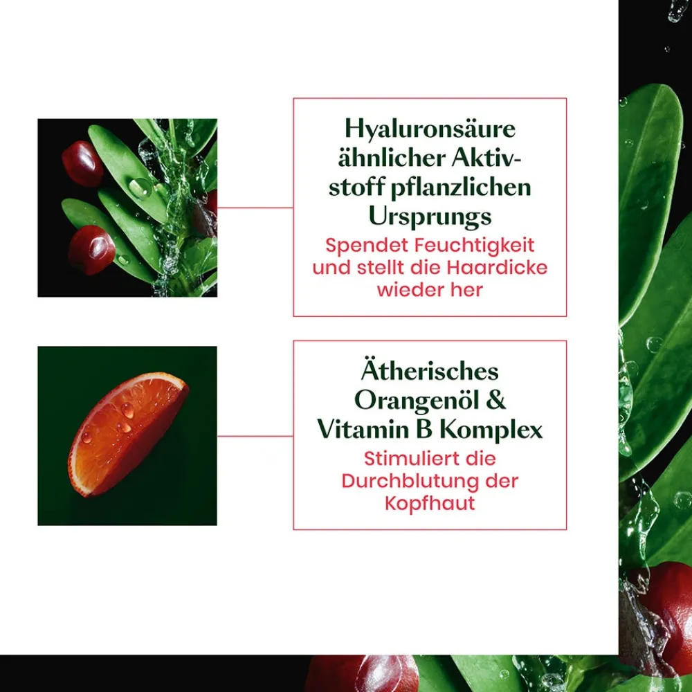 Rene Furterer Hagel Nature| Shampoo^Tonucia Natural Filler Shampoo 200 ml