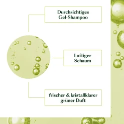 Rene Furterer Hagel Nature| Volumen^Volumea Shampoo 200 ml