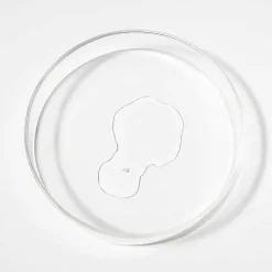 Scandinavian Biolabs Haarausfall|Haarausfall & Spezialpflege|Bio-Pilixin Serum - Für Männer 100 ml