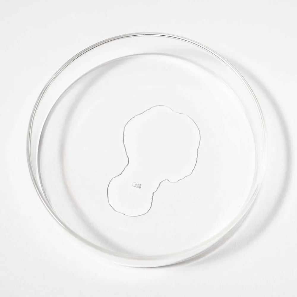 Scandinavian Biolabs Haarausfall|Haarausfall & Spezialpflege|Bio-Pilixin Serum - Für Männer 100 ml