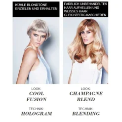 Schwarzkopf Professional Tönung|Haarfarbe^Schwarzkopf Blondme Aufheller Eis 60 ml