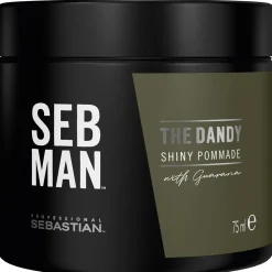 The Dandy Pomade 75 ml-SEB Man Sale