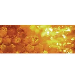 Sebastian Haarfarbe| Conditioner^Cellophanes Honeycomb Blond 300 ml