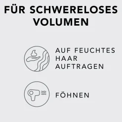 Sebastian Haarschaum|Thickefy Foam 190 ml