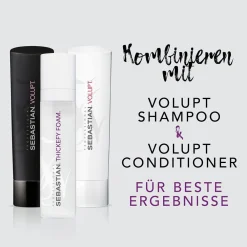 Sebastian Haarschaum|Thickefy Foam 190 ml