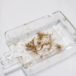 Split Ender Pro Haarschneider & Trimmer|Haarschneider & Trimmer^Split-Ender Pro schwarz - Friseur-Variante