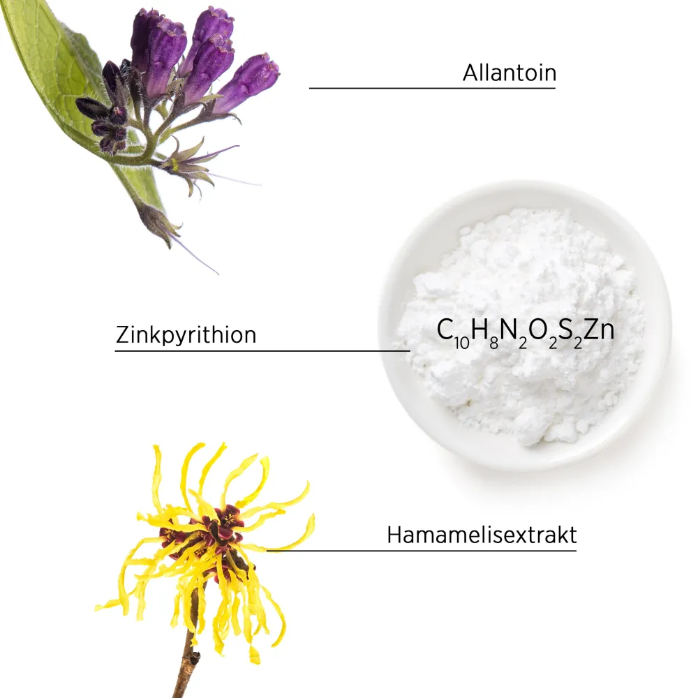 System Professional LipidCode Shampoo| Shampoo^System Professional P4 Purify Anti-Schuppen Shampoo & Peeling 150 ml