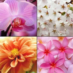 Tesori d´ Oriente Hand & Fuß|Gesicht|Duschgel Orchidee 250 ml