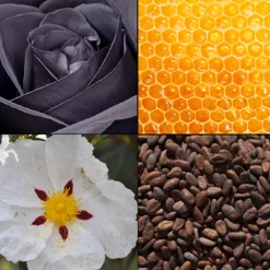 Tesori d´ Oriente Damendüfte|Körper^Eau de Toilette Byzantium 100 ml