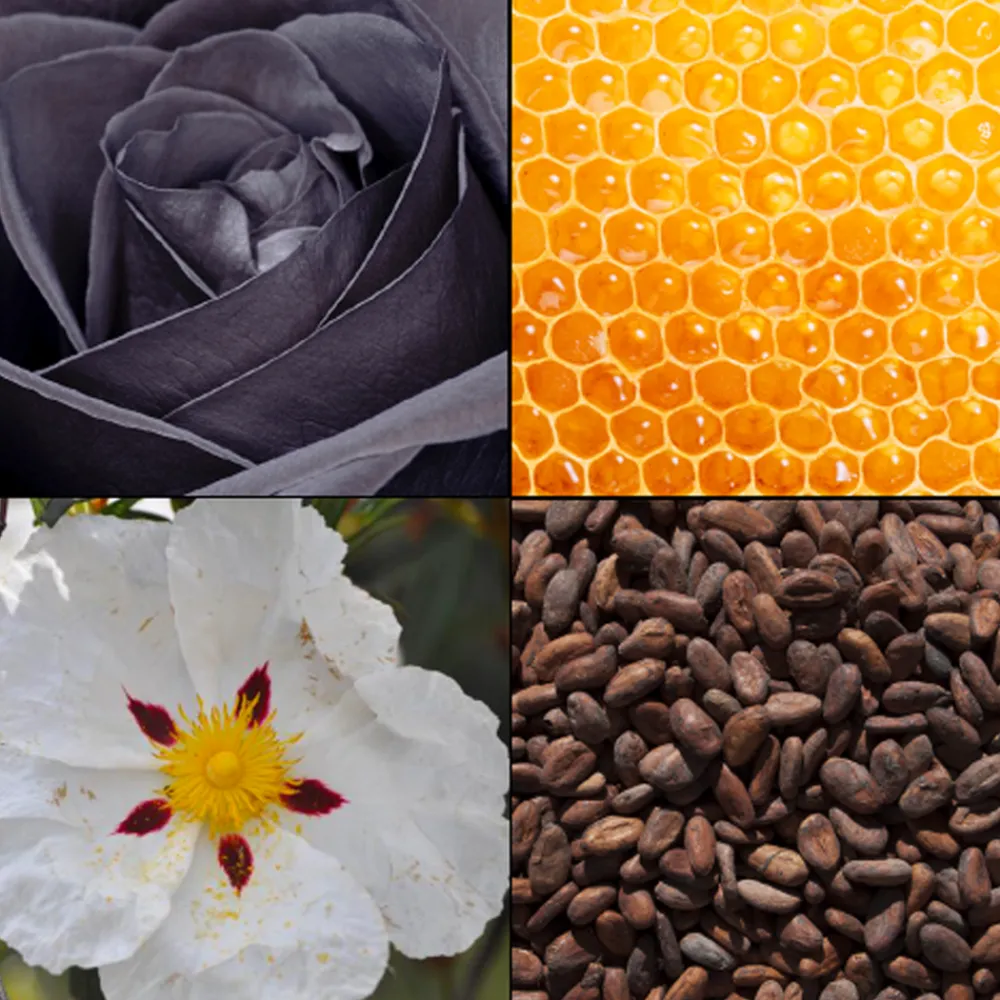 Tesori d´ Oriente Damendüfte|Körper^Eau de Toilette Byzantium 100 ml