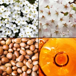 Tesori d´ Oriente Körper|Hammam Körpercreme 300 ml