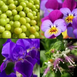 Handcreme Ayurveda 75 ml-Tesori d´ Oriente