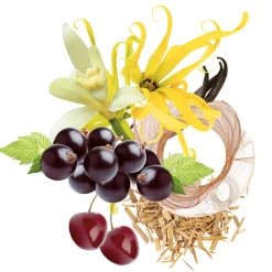 Trussardi Damendüfte|Körper^Ruby Red Set