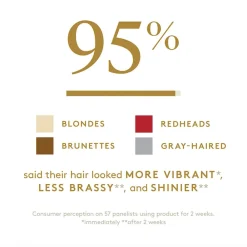 COLORKICK DE-Brassing Shampoo 240 ml-Virtue Best