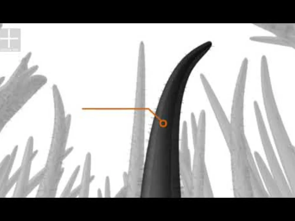 Fibers Hellblond 12 g-Volume Hair Sale