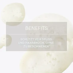 Weleda Hagel Nature| Shampoo|festes Shampoo Reparatur & Pflege 50 g