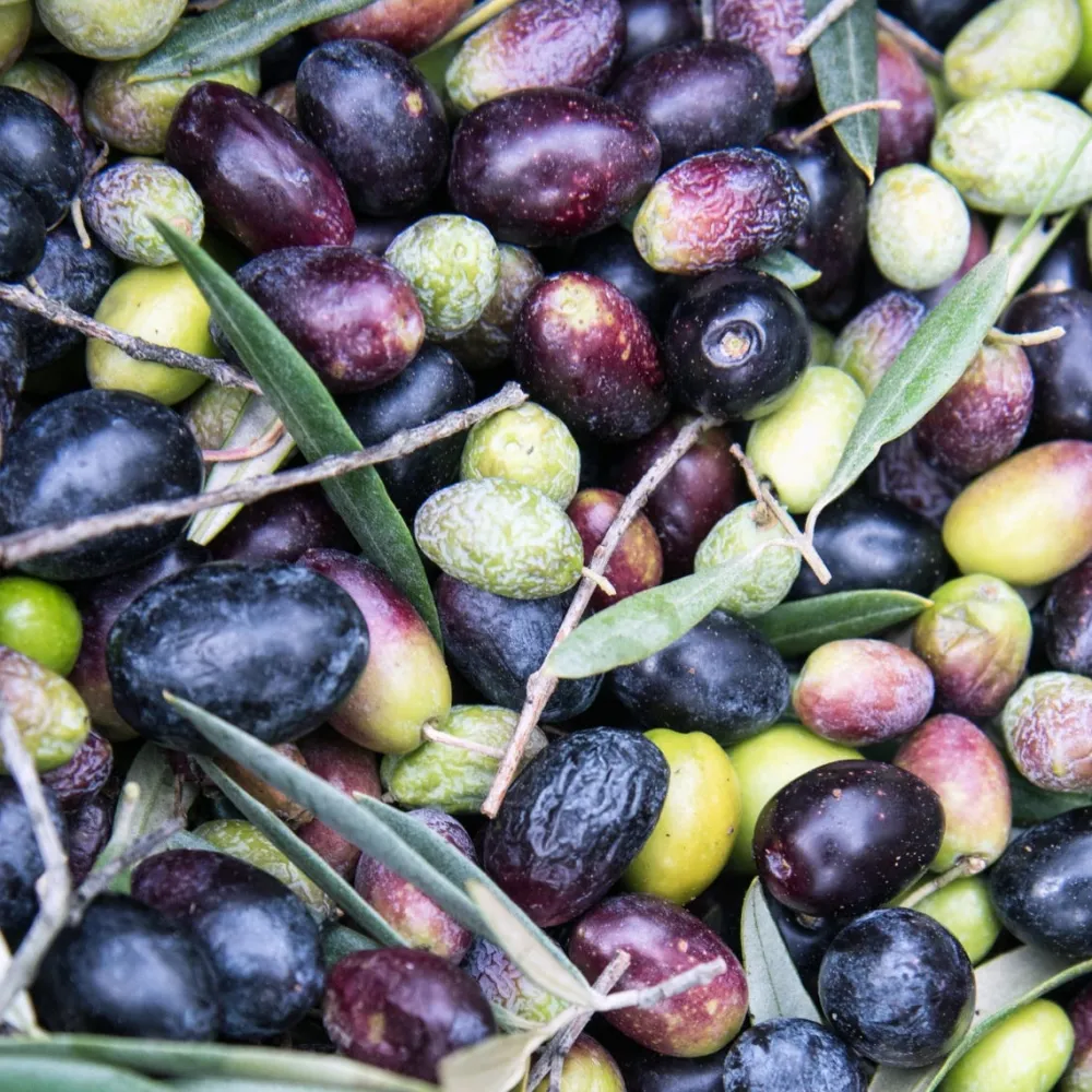 Weleda Hand & Fuß|Hautpflege|Fußbalsam 75 ml