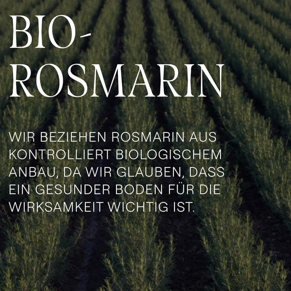 Rosmarin Vitalizing Conditioner 150 ml-Weleda Online