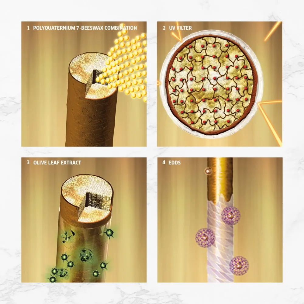 Wella SP Shampoo|Color Save Shampoo 1000 ml