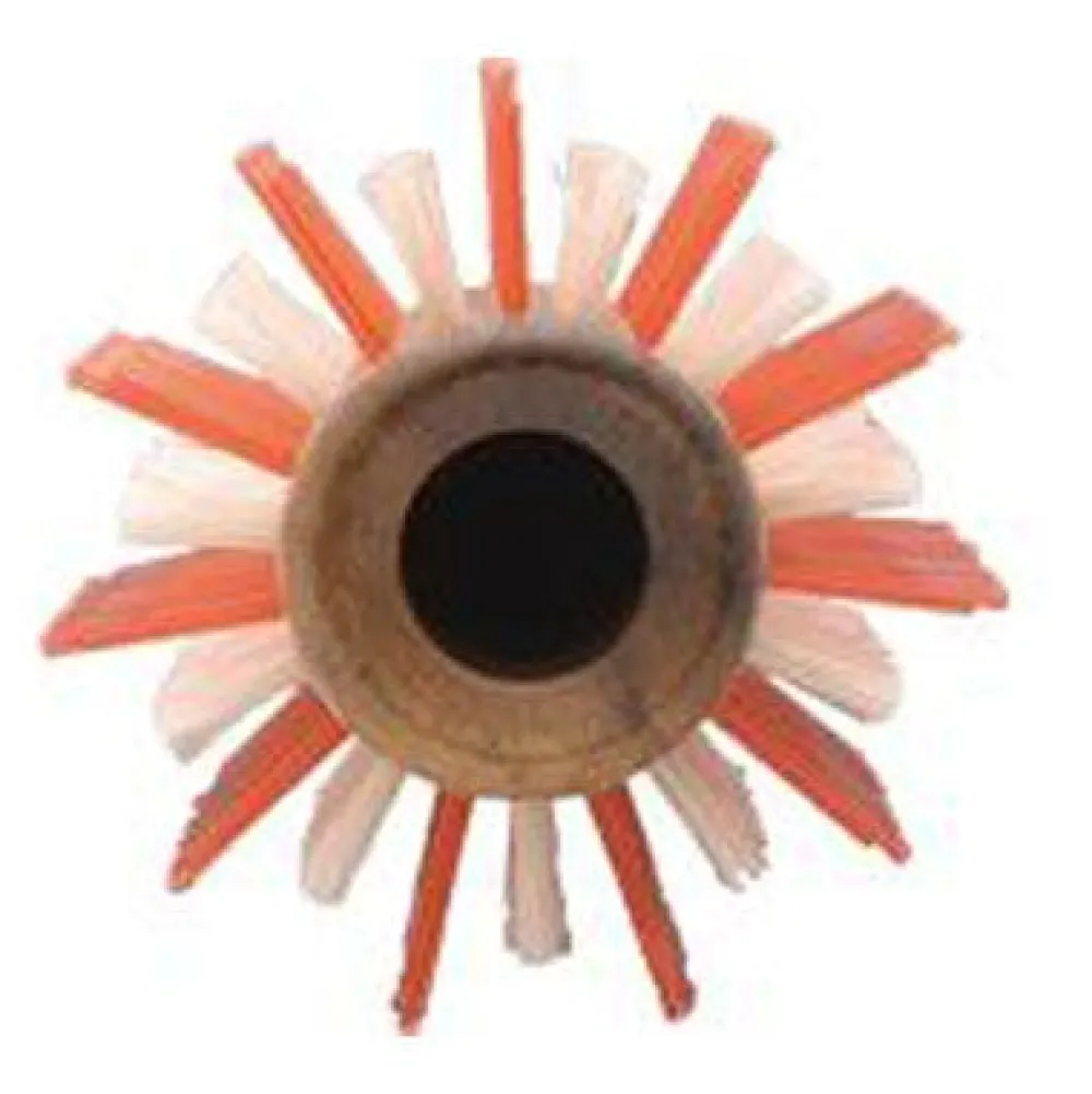 Y.S. Park Holzbürste 55 G2 (Ø 56 mm)-Y.S./Park New