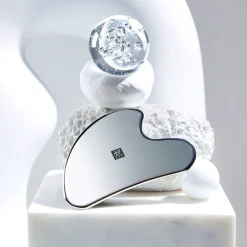 Zwilling Edelstahl-Gesichtsmassage-Tool-ZWILLING Beauty Sale